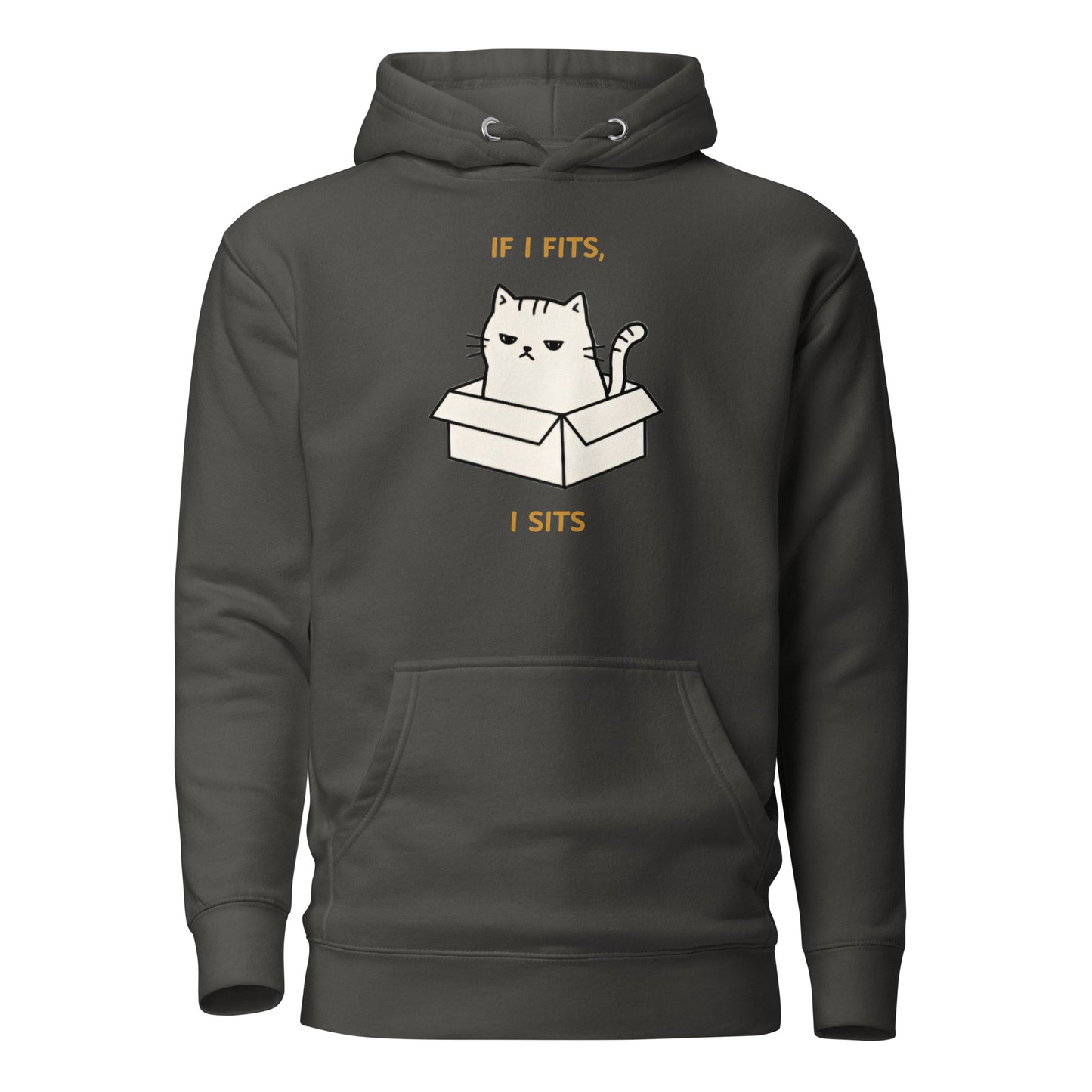 Front View of a unisex vintage black hoodie with a design of a cat sitting in a box and the words 'If I Fits, I Sits'.